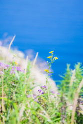 Similar image 478612