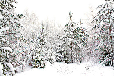 Similar image 478621