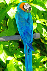 Similar image 478622