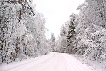 Similar image 478658