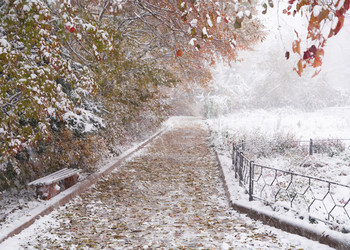 Similar image 478660