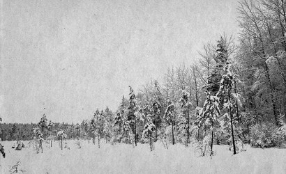 Similar image 478666