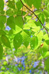 Similar image 478679