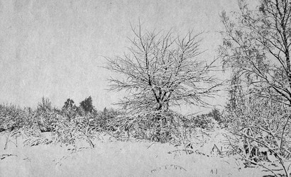 Similar image 478685