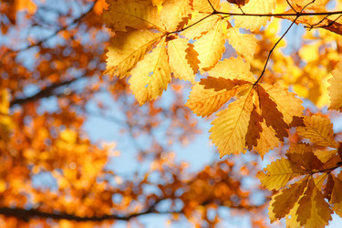 Similar image 478691