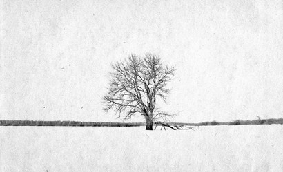 Similar image 478695