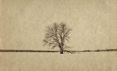 Similar image 478699