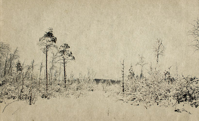 Similar image 478721