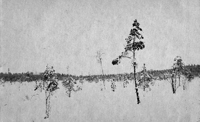 Similar image 478726