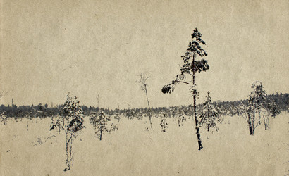 Similar image 478728