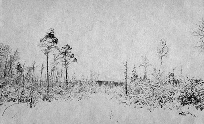 Similar image 478745