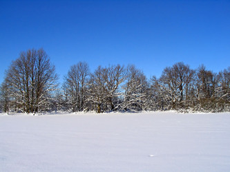 Similar image 478754