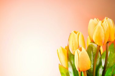 Similar image 478784