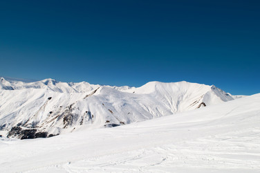 Similar image 478785