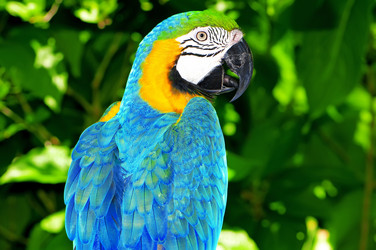 Similar image 478875