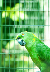 Similar image 478886