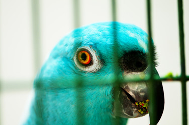 Similar image 478891