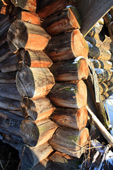 Similar image 478898