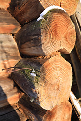 Similar image 478899