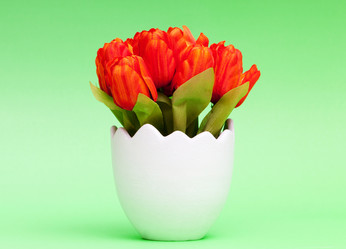 Similar image 478920