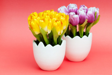 Similar image 478929