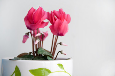 Similar image 478951