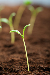 Similar image 478966