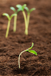 Similar image 478967