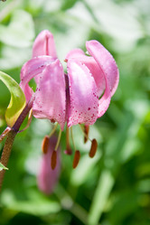 Similar image 478969