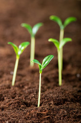 Similar image 478971