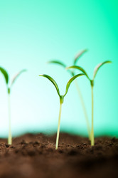 Similar image 478972