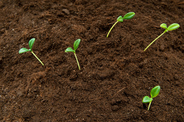 Similar image 478973