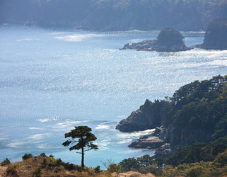 Similar image 478974