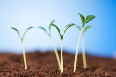 Similar image 478976