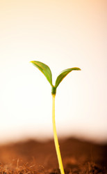 Similar image 478979