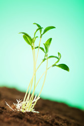 Similar image 478988