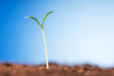 Similar image 478991