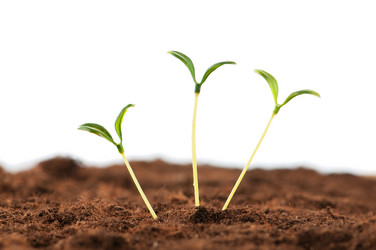 Similar image 478999