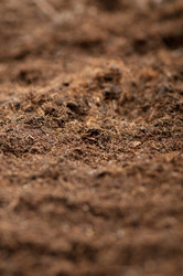 Similar image 479012