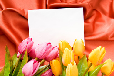 Similar image 479027