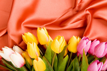 Similar image 479030