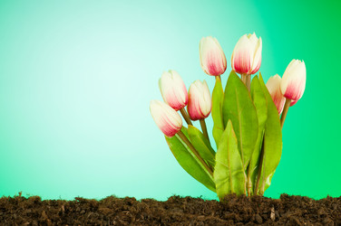 Similar image 479034