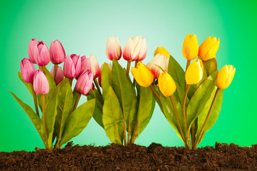 Similar image 479041