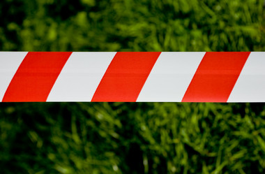 Similar image 479061