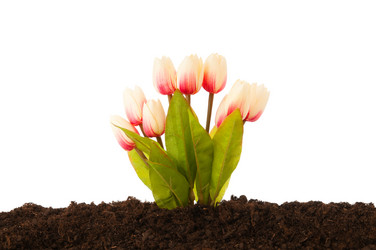 Similar image 479069