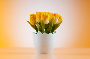 Similar image 479083