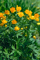 Similar image 479090