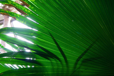 Similar image 479145