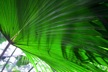 Similar image 479149