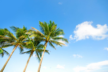 Similar image 479166